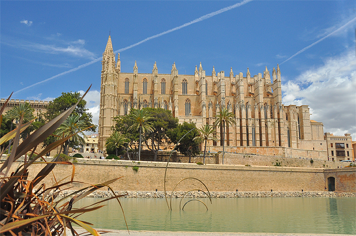 Palma cathedrale