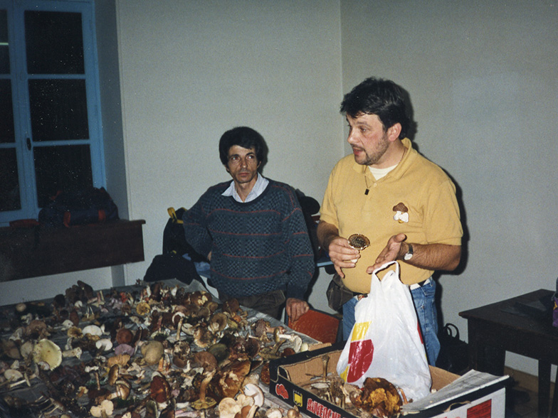 Troncais, novembre 1993